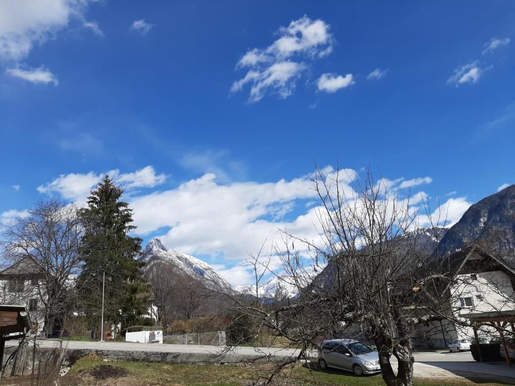 Apartma Pri Soci Daire Bovec Dış mekan fotoğraf