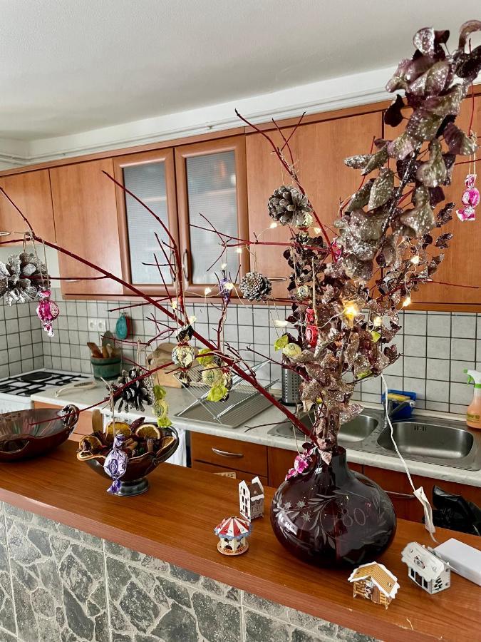 Apartma Pri Soci Daire Bovec Dış mekan fotoğraf